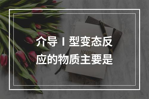 介导Ⅰ型变态反应的物质主要是