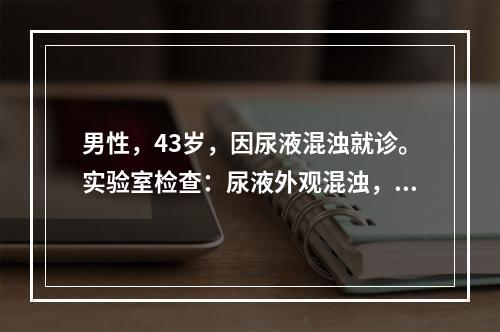 男性，43岁，因尿液混浊就诊。实验室检查：尿液外观混浊，pH