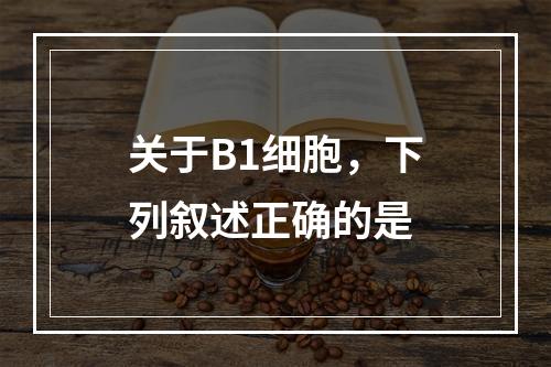 关于B1细胞，下列叙述正确的是