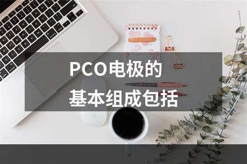 PCO电极的基本组成包括