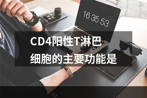 CD4阳性T淋巴细胞的主要功能是