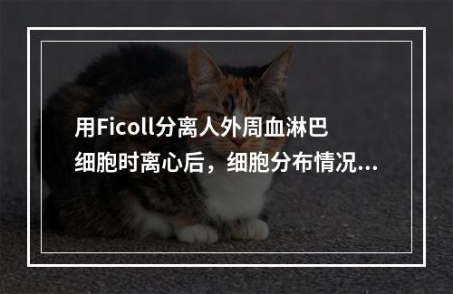 用Ficoll分离人外周血淋巴细胞时离心后，细胞分布情况正确