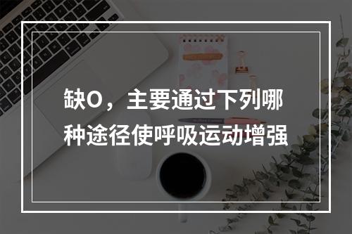 缺O，主要通过下列哪种途径使呼吸运动增强