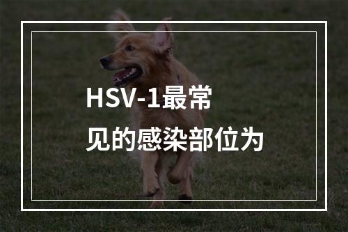 HSV-1最常见的感染部位为