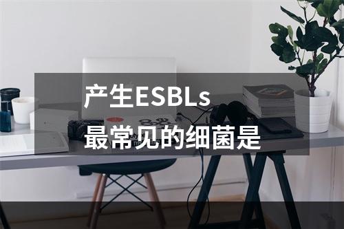 产生ESBLs最常见的细菌是