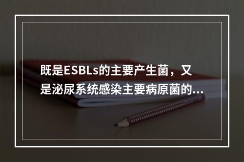 既是ESBLs的主要产生菌，又是泌尿系统感染主要病原菌的是