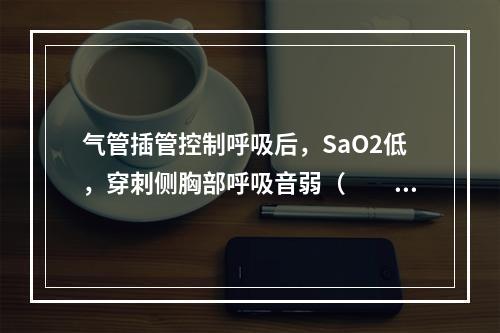 气管插管控制呼吸后，SaO2低，穿刺侧胸部呼吸音弱（　　）。