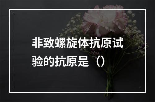 非致螺旋体抗原试验的抗原是（）