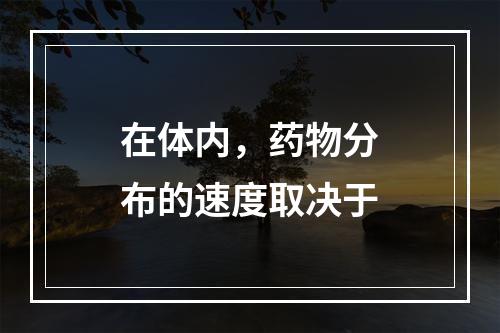 在体内，药物分布的速度取决于