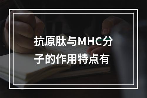 抗原肽与MHC分子的作用特点有