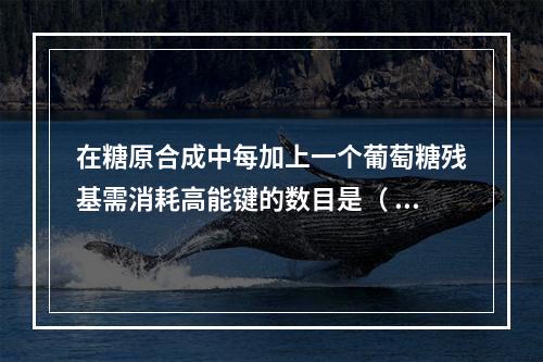 在糖原合成中每加上一个葡萄糖残基需消耗高能键的数目是（ ）