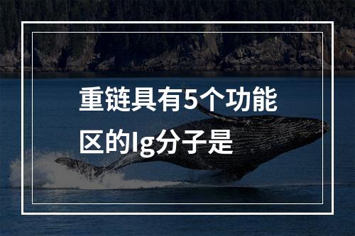 重链具有5个功能区的Ig分子是