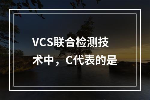 VCS联合检测技术中，C代表的是