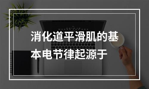 消化道平滑肌的基本电节律起源于