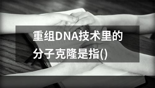 重组DNA技术里的分子克隆是指()