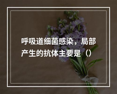 呼吸道细菌感染，局部产生的抗体主要是（）