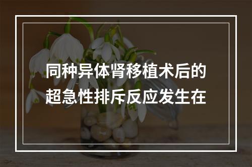 同种异体肾移植术后的超急性排斥反应发生在