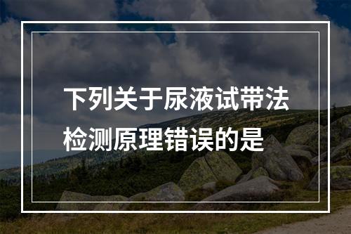 下列关于尿液试带法检测原理错误的是