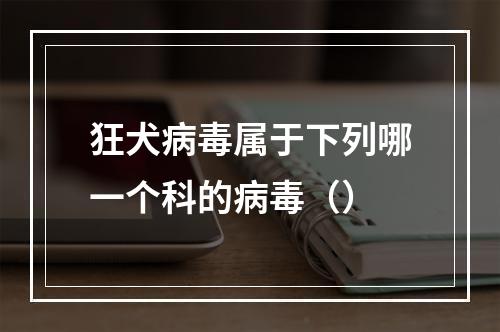 狂犬病毒属于下列哪一个科的病毒（）