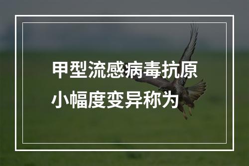 甲型流感病毒抗原小幅度变异称为