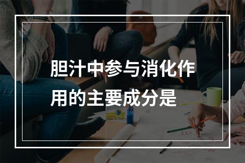 胆汁中参与消化作用的主要成分是