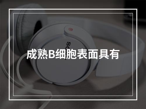 成熟B细胞表面具有