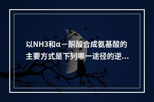 以NH3和α－酮酸合成氨基酸的主要方式是下列哪一途径的逆反应