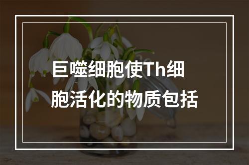 巨噬细胞使Th细胞活化的物质包括