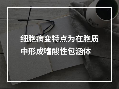 细胞病变特点为在胞质中形成嗜酸性包涵体