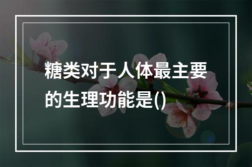 糖类对于人体最主要的生理功能是()