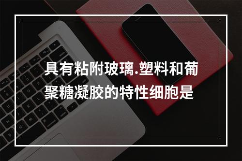 具有粘附玻璃.塑料和葡聚糖凝胶的特性细胞是