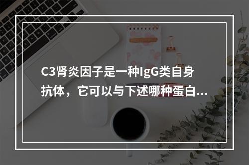 C3肾炎因子是一种IgG类自身抗体，它可以与下述哪种蛋白结合