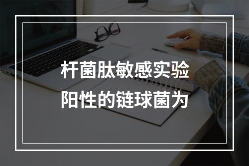 杆菌肽敏感实验阳性的链球菌为