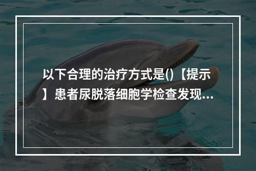 以下合理的治疗方式是()【提示】患者尿脱落细胞学检查发现癌细