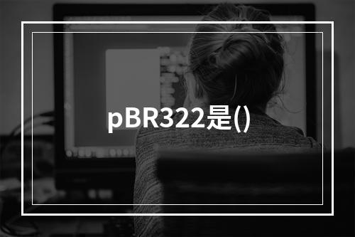 pBR322是()