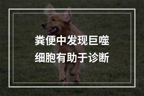 粪便中发现巨噬细胞有助于诊断