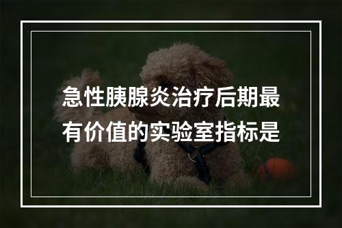 急性胰腺炎治疗后期最有价值的实验室指标是