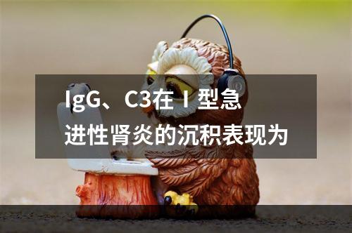 IgG、C3在Ⅰ型急进性肾炎的沉积表现为