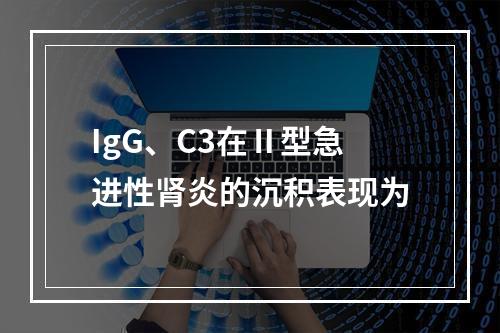 IgG、C3在Ⅱ型急进性肾炎的沉积表现为