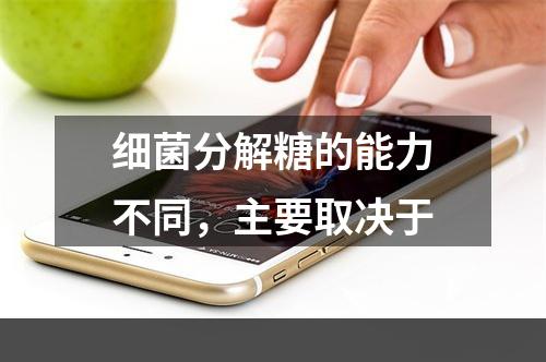 细菌分解糖的能力不同，主要取决于