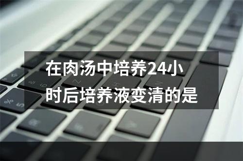 在肉汤中培养24小时后培养液变清的是