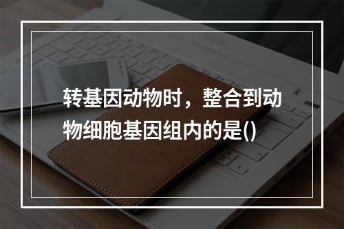 转基因动物时，整合到动物细胞基因组内的是()