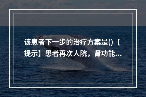 该患者下一步的治疗方案是()【提示】患者再次人院，肾功能检查