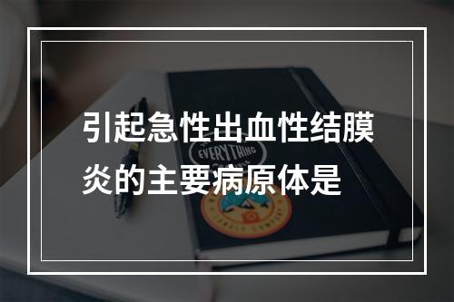 引起急性出血性结膜炎的主要病原体是