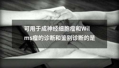 可用于成神经细胞瘤和Wilms瘤的诊断和鉴别诊断的是