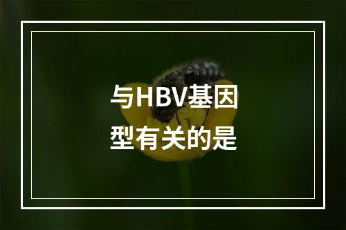 与HBV基因型有关的是