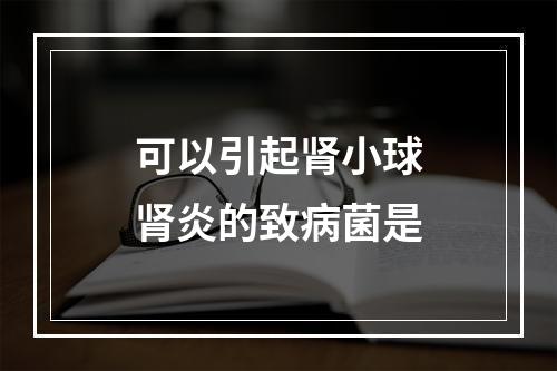 可以引起肾小球肾炎的致病菌是