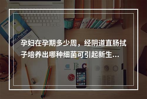 孕妇在孕期多少周，经阴道直肠拭子培养出哪种细菌可引起新生儿肺