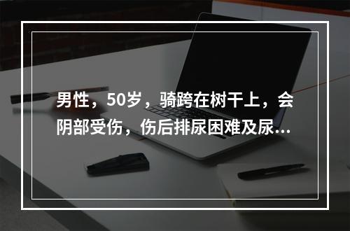 男性，50岁，骑跨在树干上，会阴部受伤，伤后排尿困难及尿潴留