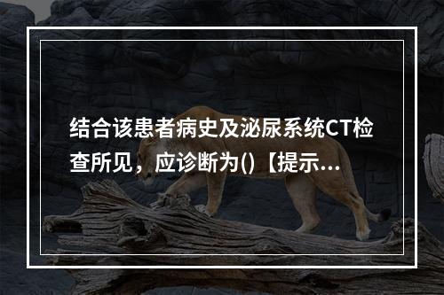 结合该患者病史及泌尿系统CT检查所见，应诊断为()【提示】患